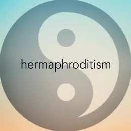 hermaphroditism